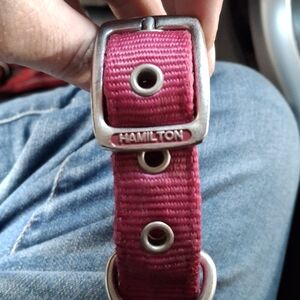 Hamilton Red Nylon Belt